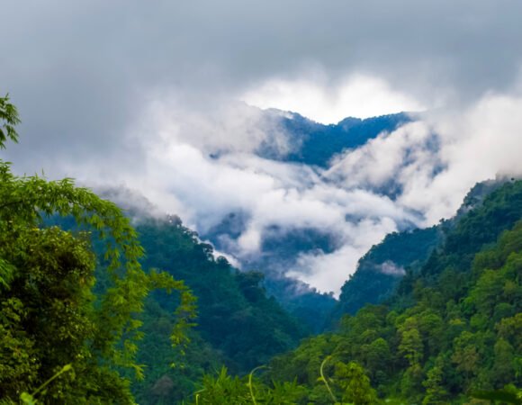 CAPTIVATING TAWANG