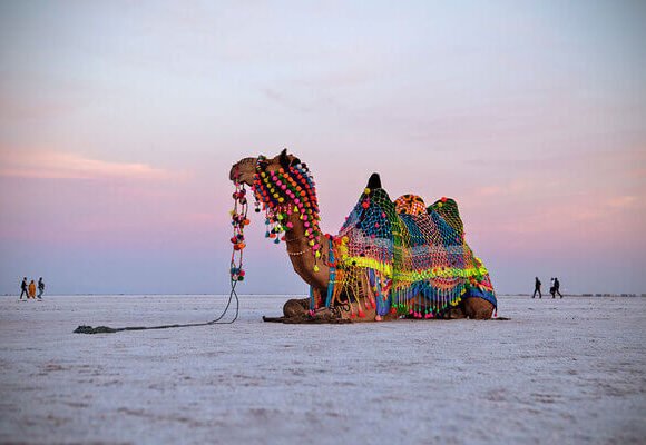 EXPLORING THE RANN UTSAV