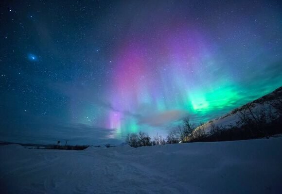 Arctic Norway - Winter in Wonderland