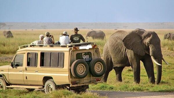 TANZANIAN SAFARI