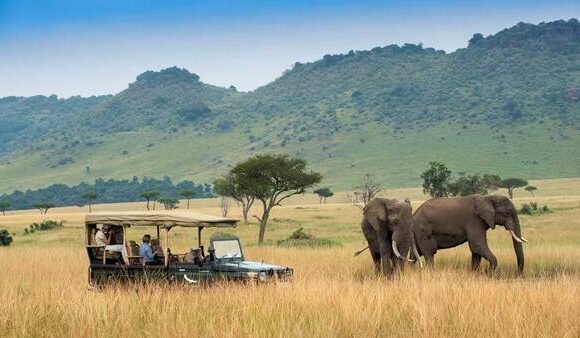 KENYAN WILDLIFE TOUR