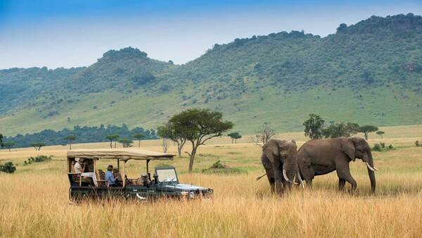 KENYAN WILDLIFE TOUR