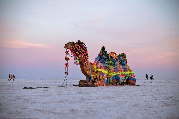 EXPLORING COLORS OF THE RANN UTSAV