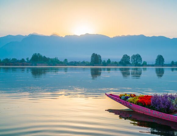 FAMILY TOUR OF KASHMIR