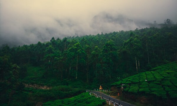 OOTY KODAIKANAL MUNNAR